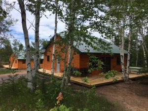 Brand new Walleye and Brook Trout cabins